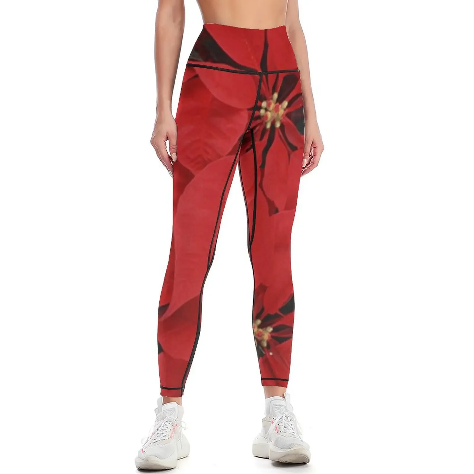 Poinsettias for Christmas, hol - Yoga Fitness Holiday 리뷰 및 가격