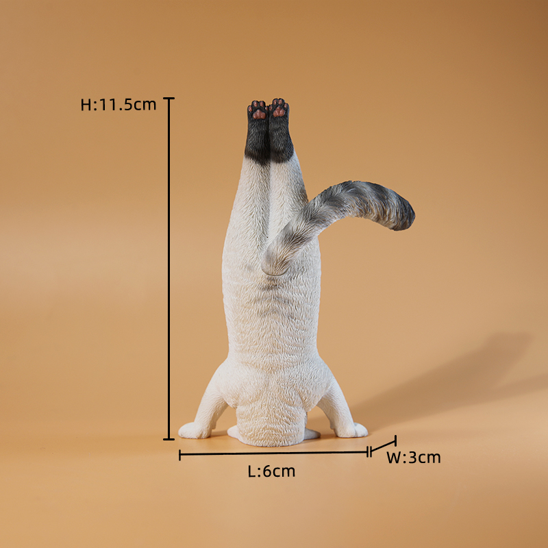 1/6 Scale Mini Simulated Fitne - Yoga In Fitness First 리뷰 및 가격