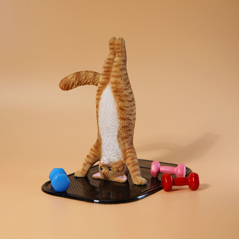 1/6 Scale Mini Simulated Fitne - Yoga In Fitness First 리뷰 및 가격