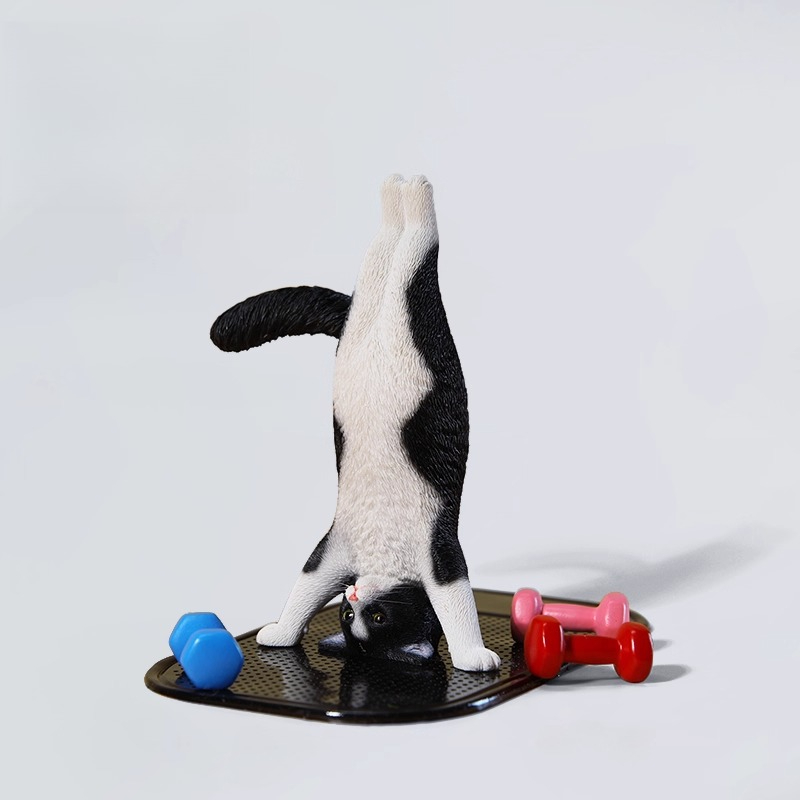 1/6 Scale Mini Simulated Fitne - Yoga In Fitness First 리뷰 및 가격
