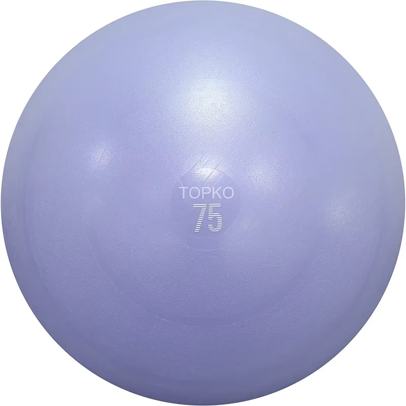 YTYIN TOPKO Yoga Ball Exercise - Bosu Ball Balance 리뷰 및 가격