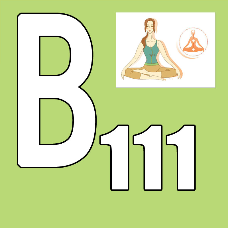 Hot Sale Latest Release 2026.Q - Yoga Fitness Group 리뷰 및 가격